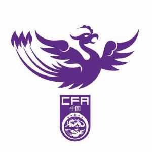 U18女足集训名单:王洪亮挂帅姜宁出任训练员,共25名球员入选