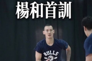 新加盟的杨和已经投入球队训练!期待他熟悉金牛战术之后有好表现